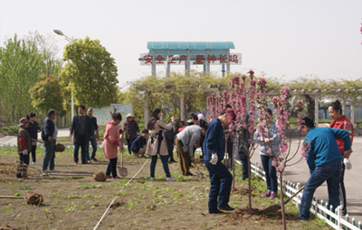 徐州國禎開展植樹活動